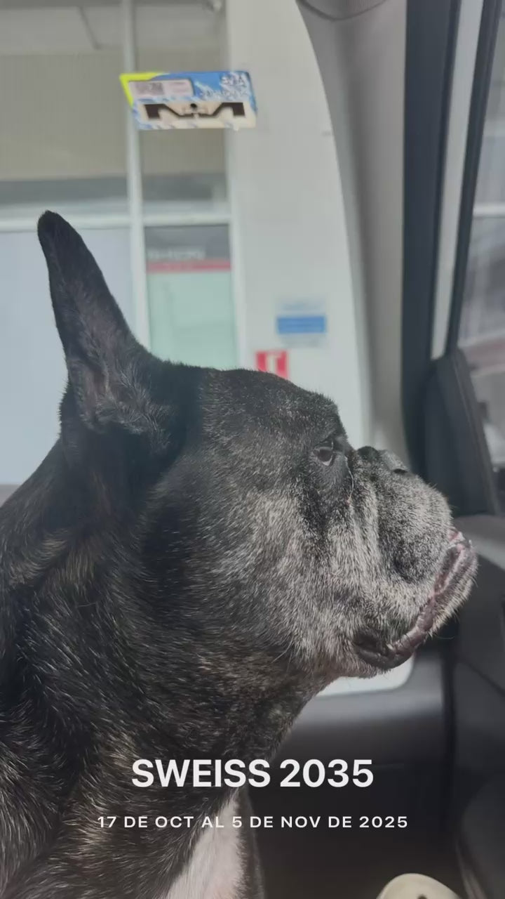 SERVICIO TECNICO AUTORIZADO SWEISS